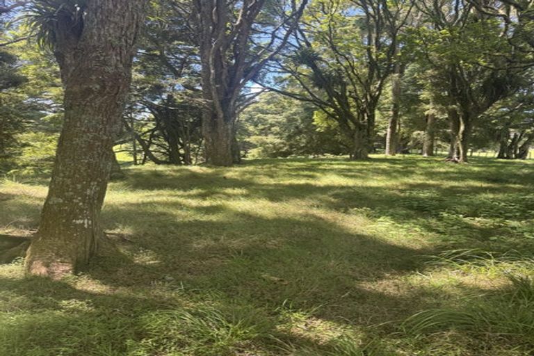 Photo of property in 643 Whangaripo Valley Road, Whangaripo, Wellsford, 0972