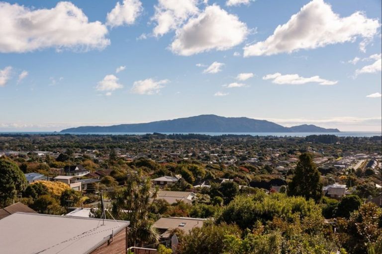 Photo of property in 43 Kotare Street, Waikanae, 5036