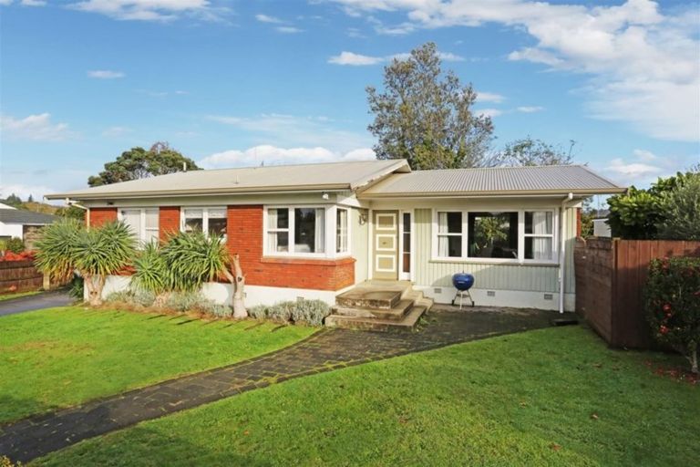Photo of property in 20 Mason Avenue, Pukekohe, 2120