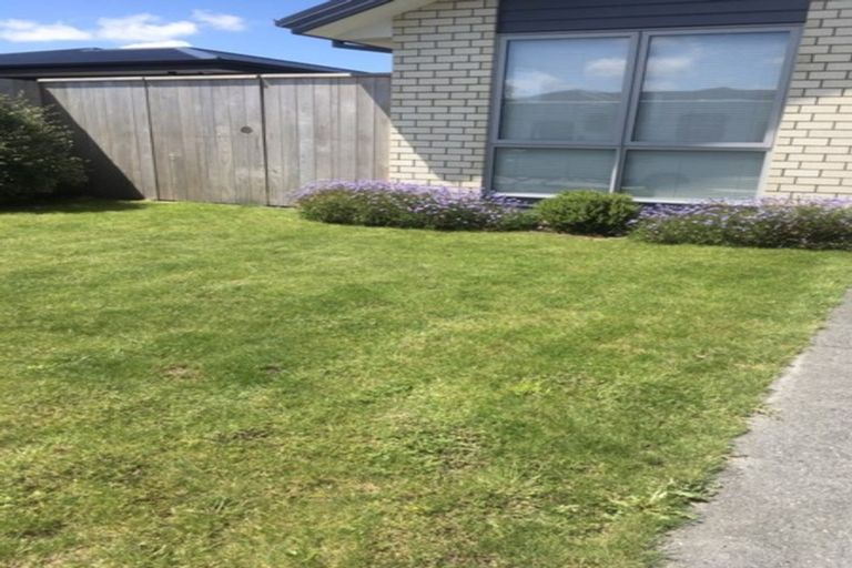 Photo of property in 16 Chert Street, Rolleston, 7614