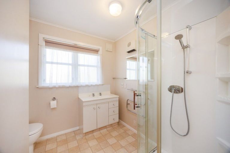 Photo of property in 55 Windsor Street, Terrace End, Palmerston North, 4410