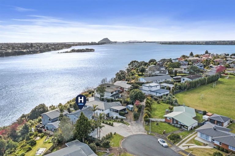 Photo of property in 26 Sunset Crescent, Maungatapu, Tauranga, 3112