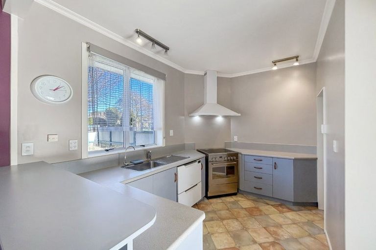 Photo of property in 44 Chelmsford Street, Windsor, Invercargill, 9810