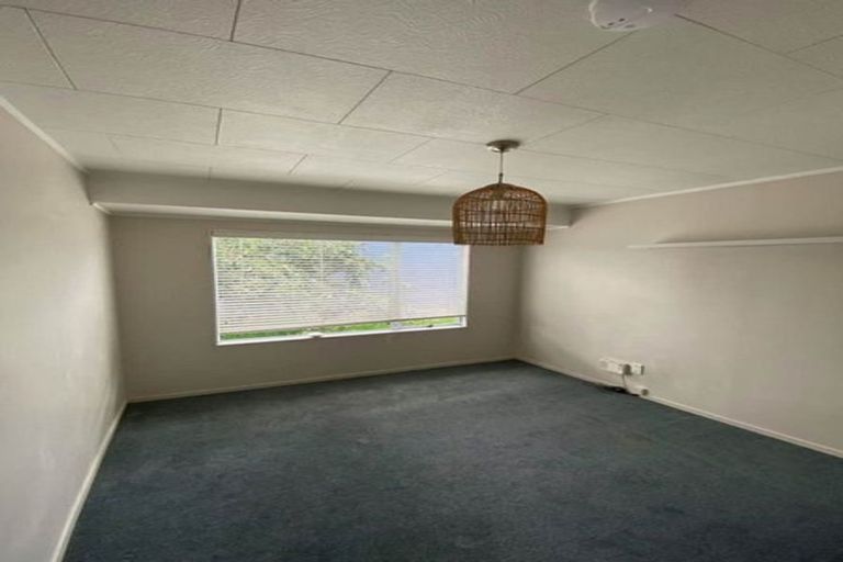 Photo of property in 14 Wren Place, Unsworth Heights, Auckland, 0632