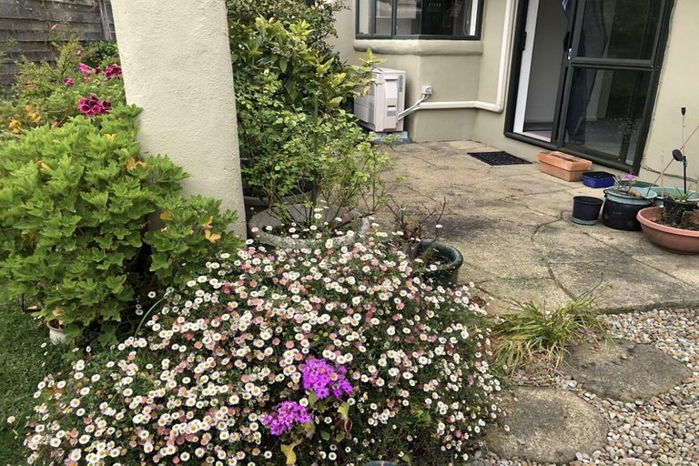 Photo of property in 105 Makarini Street, Paraparaumu, 5032