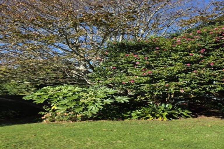 Photo of property in 11 Cannon Street, Westown, New Plymouth, 4310