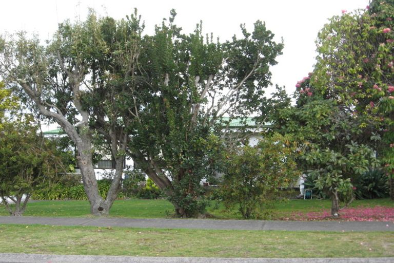 Photo of property in 15 Laughton Street, Taupo, 3330