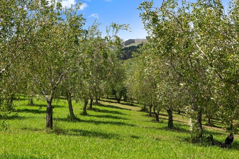 Photo of property in 72 Leccino Valley Road, Mangonui, 0494