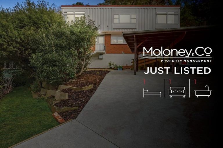 Photo of property in 59 Awarua Street, Ngaio, Wellington, 6035