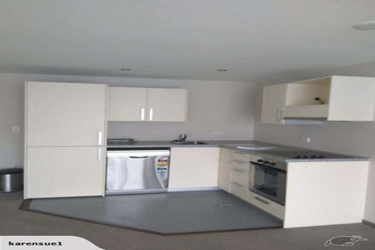 Photo of property in Dual Apartments, 508/142u Vivian Street, Te Aro, Wellington, 6011