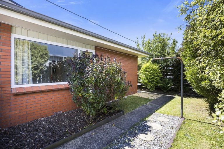 Photo of property in 66b Albert Street, Saint Clair, Dunedin, 9012
