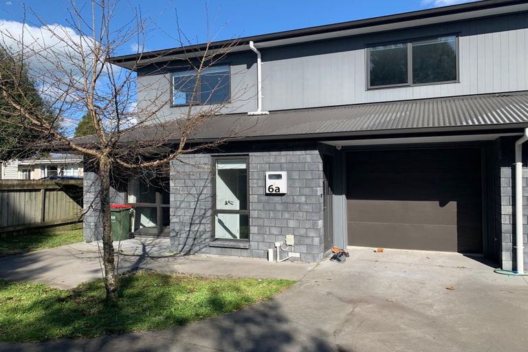 Photo of property in 6a Williams Place, Fairfield, Hamilton, 3214
