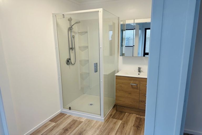 Photo of property in 40b Willoughby Street, Whitiora, Hamilton, 3200