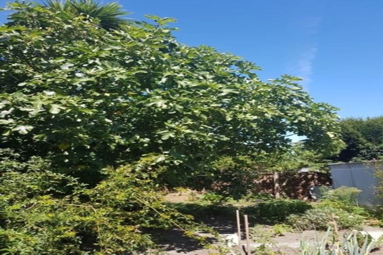 Photo of property in 2/590 Hereford Street, Linwood, Christchurch, 8011