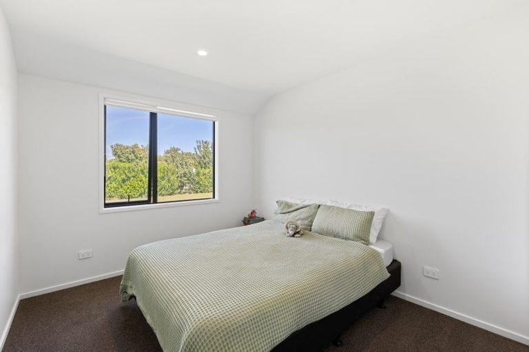 Photo of property in 5 Brook Street, Renwick, 7204