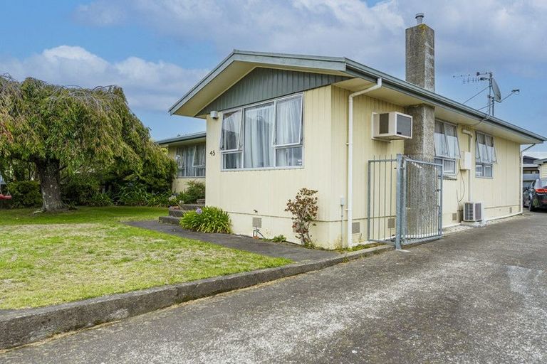 Photo of property in 45 Caernarvon Drive, Flaxmere, Hastings, 4120
