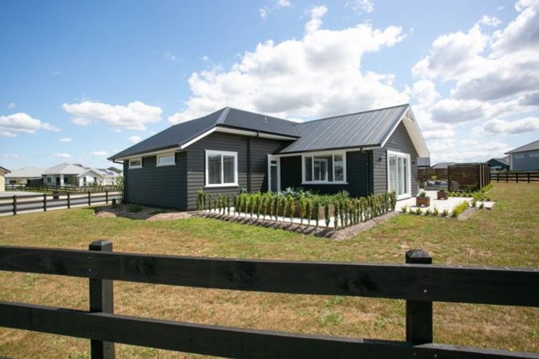 Photo of property in 51 Mike Smith Drive, Cambridge, 3434