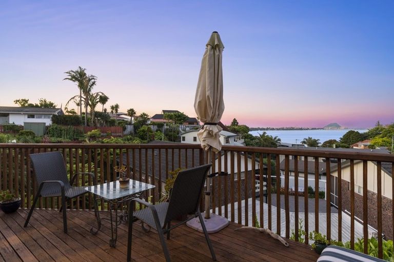 Photo of property in 202 Maungatapu Road, Maungatapu, Tauranga, 3112