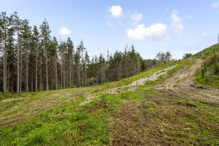 Photo of property in 197 Wishart Road, Helensville, 0875