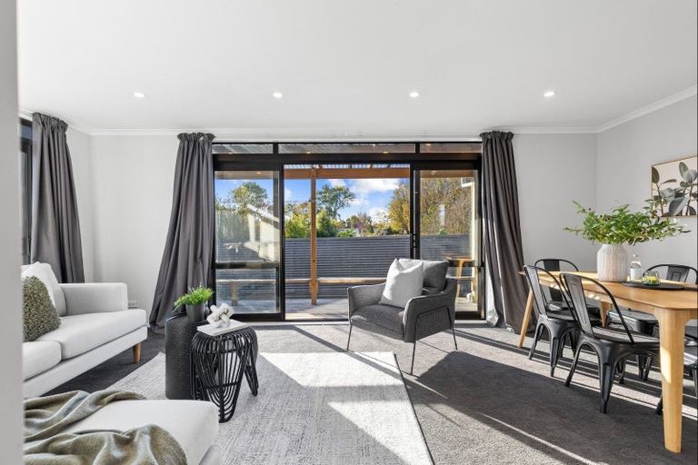 Photo of property in 24a Drake Street, Awapuni, Palmerston North, 4412