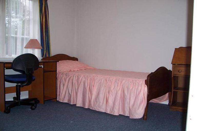 Photo of property in 24 Graham Street, Levin, 5510