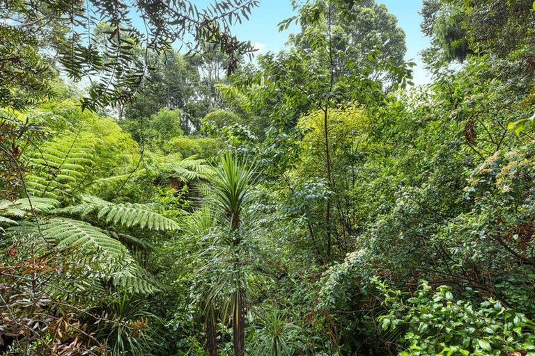 Photo of property in 19 Tainui Road, Titirangi, Auckland, 0604
