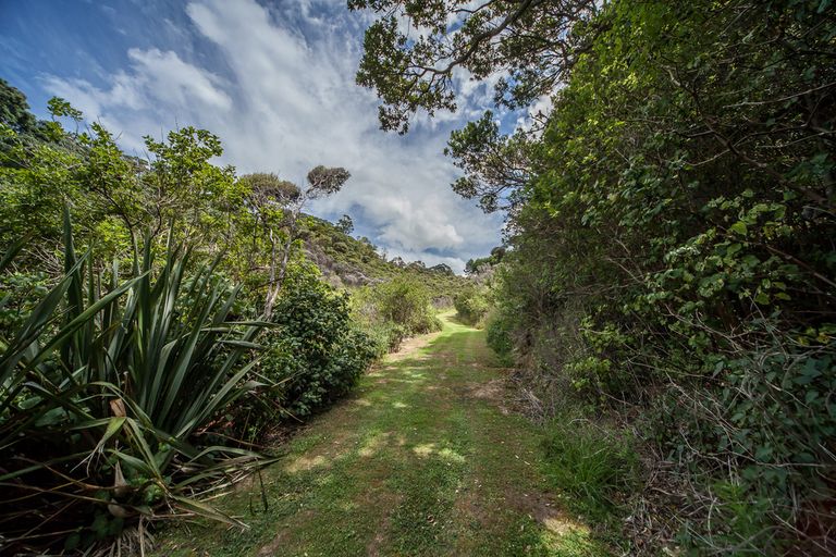 Photo of property in 354 Rockell Road, Whananaki, Hikurangi, 0181
