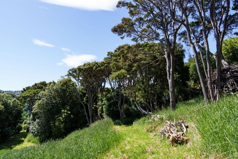 Photo of property in 24 Fred Hollows Way, Glenleith, Dunedin, 9010