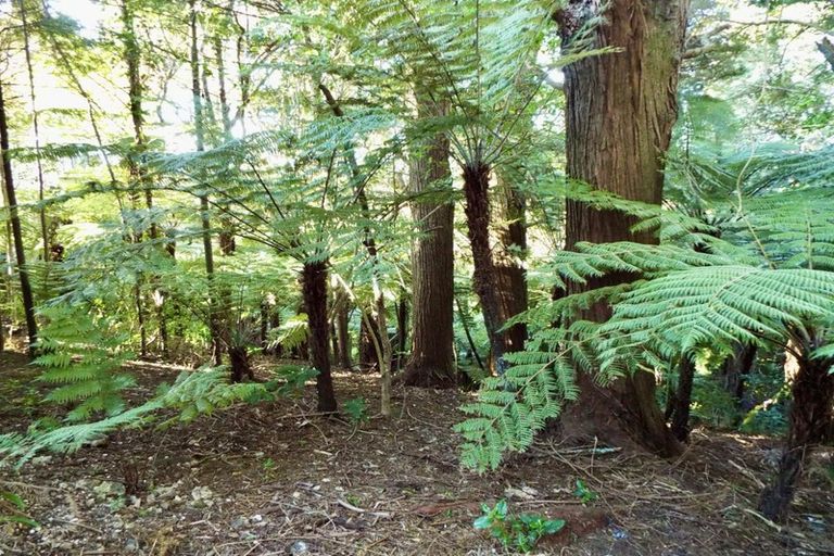 Photo of property in 4 Tranquil Glade, Hillcrest, Auckland, 0627