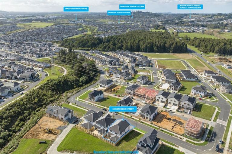 Photo of property in 84 Koromeke Street, Flat Bush, Auckland, 2019