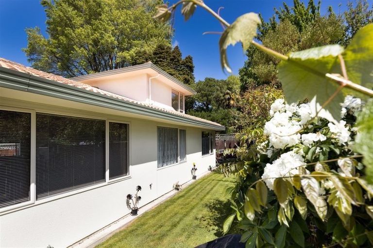 Photo of property in 7a Carr Street, Blenheim, 7201