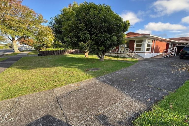 Photo of property in 119 Elliot Street, Pahurehure, Papakura, 2113