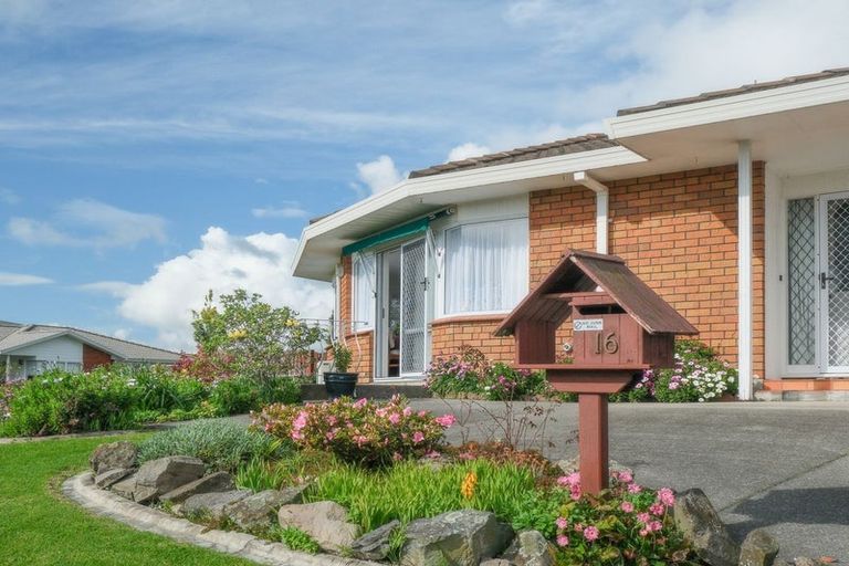 Photo of property in 16 Tekoah Place, Judea, Tauranga, 3110