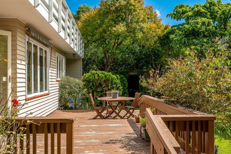 Photo of property in 137 Heaton Street, Merivale, Christchurch, 8052