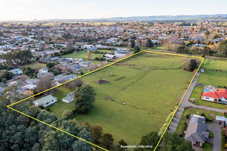 Photo of property in 67 Lincoln Road, Carterton, 5713