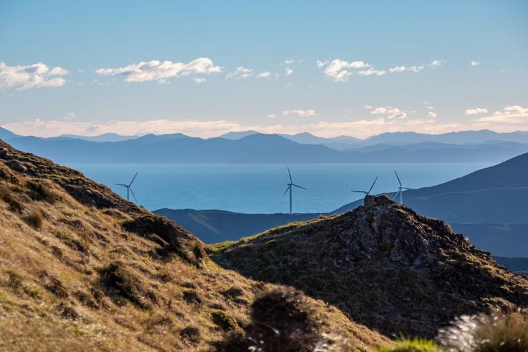 Photo of property in Long Gully Farm, 500 Hawkins Hill Road, Brooklyn, Wellington, 6021