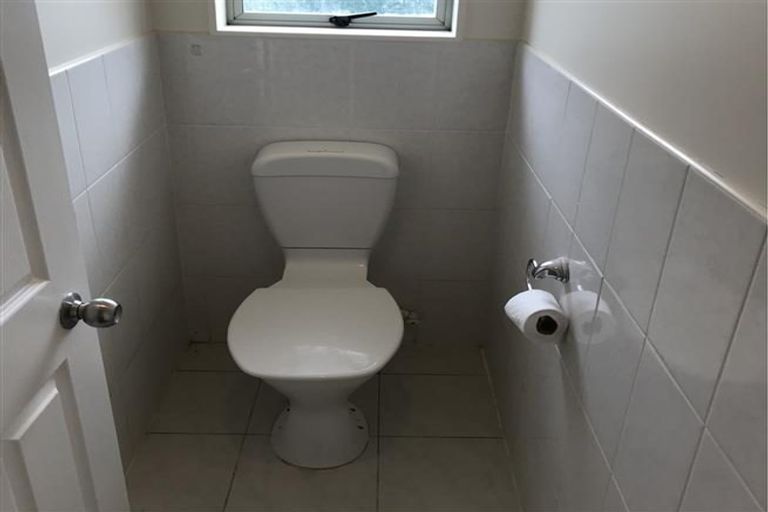 Photo of property in 24 Pitt Avenue, Clendon Park, Auckland, 2103