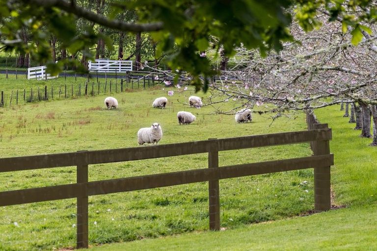 Photo of property in 725 Woodcocks Road, Kaipara Flats, Warkworth, 0981