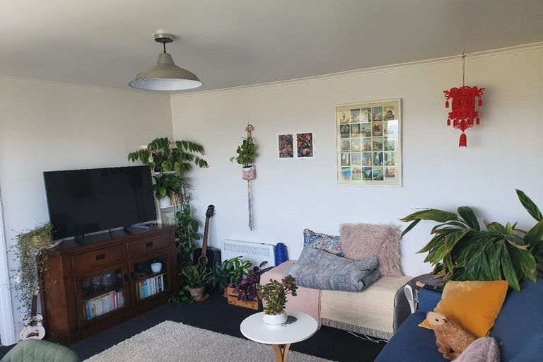 Photo of property in 38 Sugarloaf Road, Brooklyn, Wellington, 6021