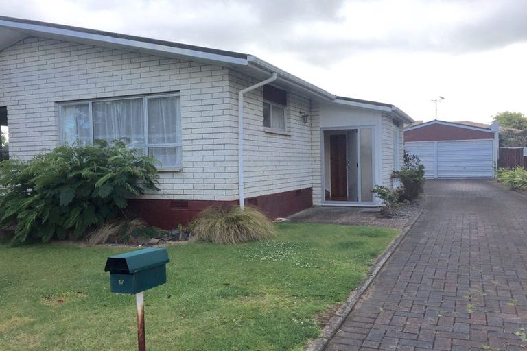 Photo of property in 17 Woods Avenue, Matua, Tauranga, 3110