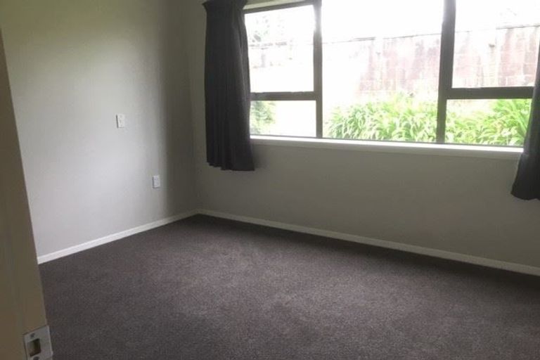 Photo of property in 99 Naylor Street, Hamilton East, Hamilton, 3216