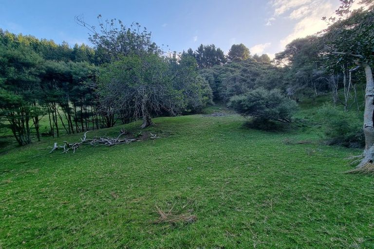 Photo of property in 389 Rimmer Road, Helensville, 0875