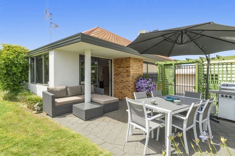 Photo of property in 169c Maungatapu Road, Maungatapu, Tauranga, 3112