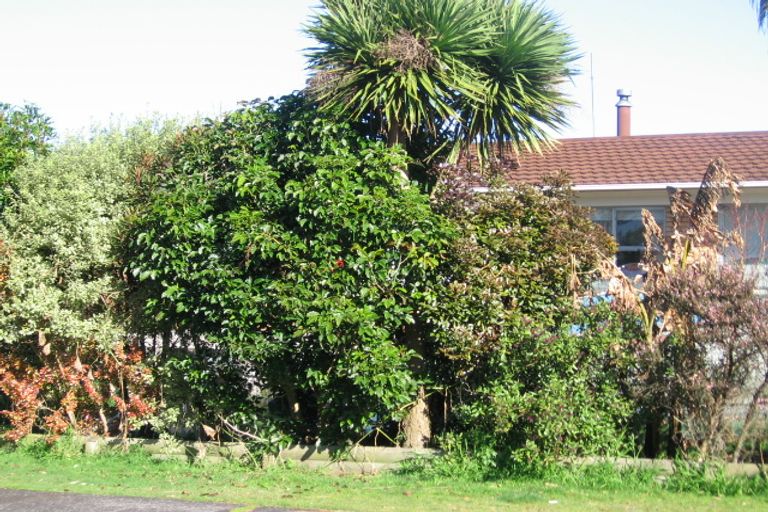 Photo of property in 16 Halberg Street, Papakura, 2110