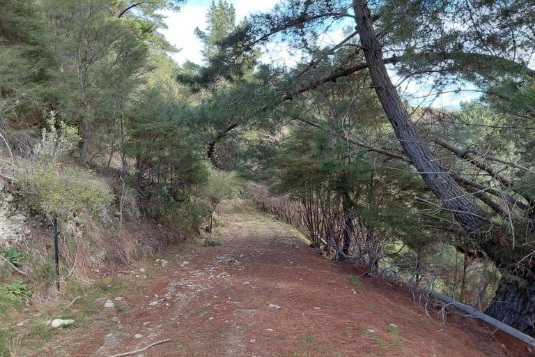 Photo of property in 499 Tadmor Valley Road, Tapawera, Wakefield, 7096