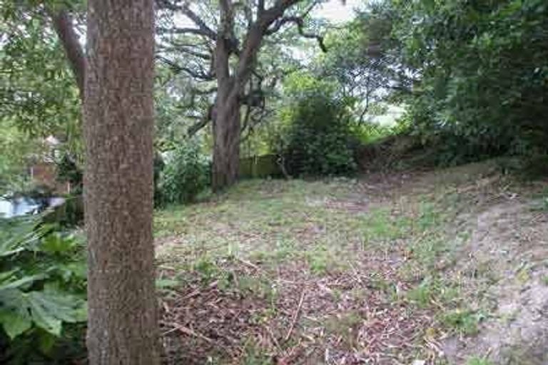 Photo of property in 111 Hamilton Road, Hataitai, Wellington, 6021