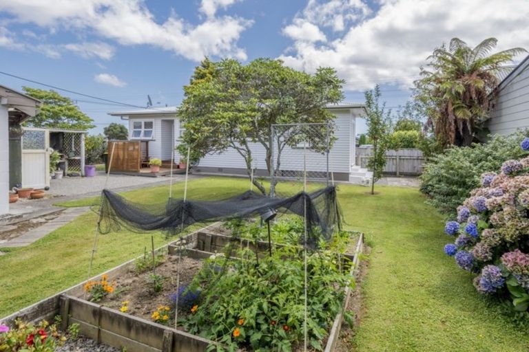 Photo of property in 182 Tiro Tiro Road, Levin, 5510