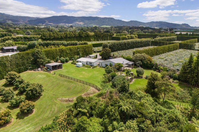 Photo of property in 63a Rea Road, Tahawai, Katikati, 3178