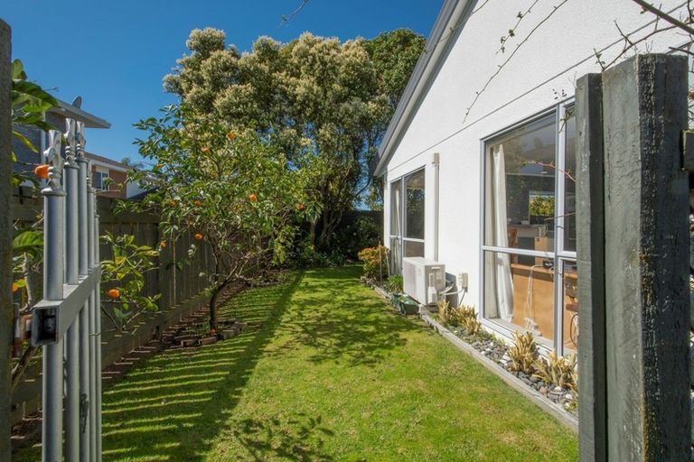 Photo of property in 3b Balmacewen Place, Mount Maunganui, 3116