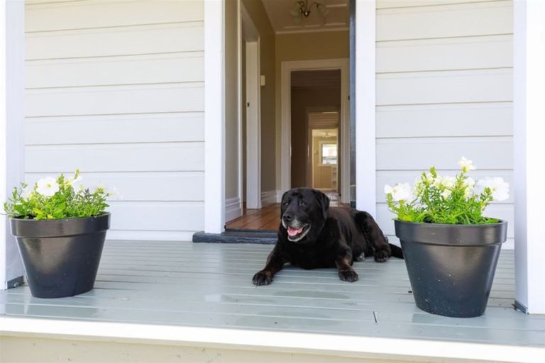 Photo of property in 102 Mackay Street, Thames, 3500